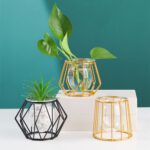 Nordic Style Golden Black Glass Hydroponic Iron Line Flower Vase Metal Plant Holder Modern Home Decor Vases Ornament