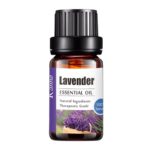 Water-soluble-Essential-Oils-Pure-Natural-Essential-Oil-For-Aromatherapy-Diffusers-Air-Freshening-Body-Relieve-Aroma-Living-Room