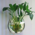 Newest-Creative-Fashion-Exquisite-Hanging-Glass-Flower-Planter-Vase-Terrarium-Container-Home-Garden-Office-Ball-Decor–Dropship