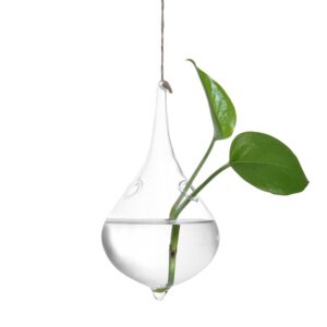 30# Home Garden Hanging Glass Ball Vase Flower Plant Pot Terrarium Container Party Wedding Decor Creative Hanging Decoration