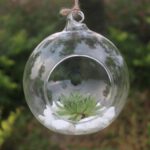 top-selling-Flower-Hanging-Vase-Glass-Planter-Plant-Terrarium-Container-Home-Wedding-Decor-Support-Wholesale-and-Dropshipping