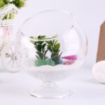 Home-Deco-Hydroponic-Aquarium-Fish-Glass-Vase-Tank-Plant-Container-Terrarium–Popular-New