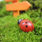 100pcs/bag-Mini-Pine-Wooden-Ladybug-Sponge-Self-adhesive-Stickers-Fairy-Figurine-Miniature-Garden-Dollhouse-Christmas-Decor