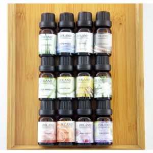 1pc 10ml Aromatherapy Pure Essential Oil Water-Soluble Humidifier Oil With For Car Home Air Purifier Air Fresher