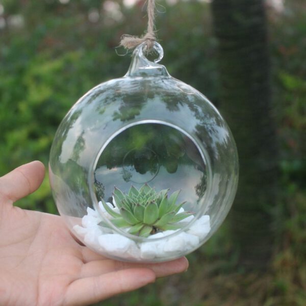 top selling Flower Hanging Vase Glass Planter Plant Terrarium Container Home Wedding Decor Support Wholesale and Dropshipping