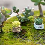 1pc-Lifelike-Miniature-Artificial-Fleshy-Cactus-Plant-Figurine-Decoration-DIY-Fairy-Garden-Micro-Landscape-Potted-Decor-Dropship