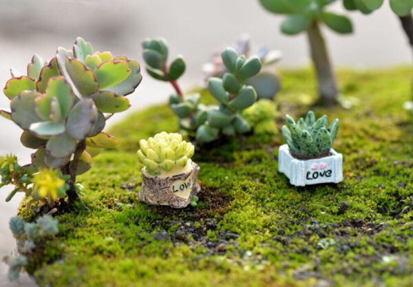 1pc Lifelike Miniature Artificial Fleshy Cactus Plant Figurine Decoration DIY Fairy Garden Micro Landscape Potted Decor Dropship