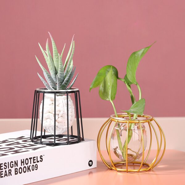 Nordic Style Golden Black Glass Hydroponic Iron Line Flower Vase Metal Plant Holder Modern Home Decor Vases Ornament