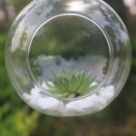 top-selling-Flower-Hanging-Vase-Glass-Planter-Plant-Terrarium-Container-Home-Wedding-Decor-Support-Wholesale-and-Dropshipping